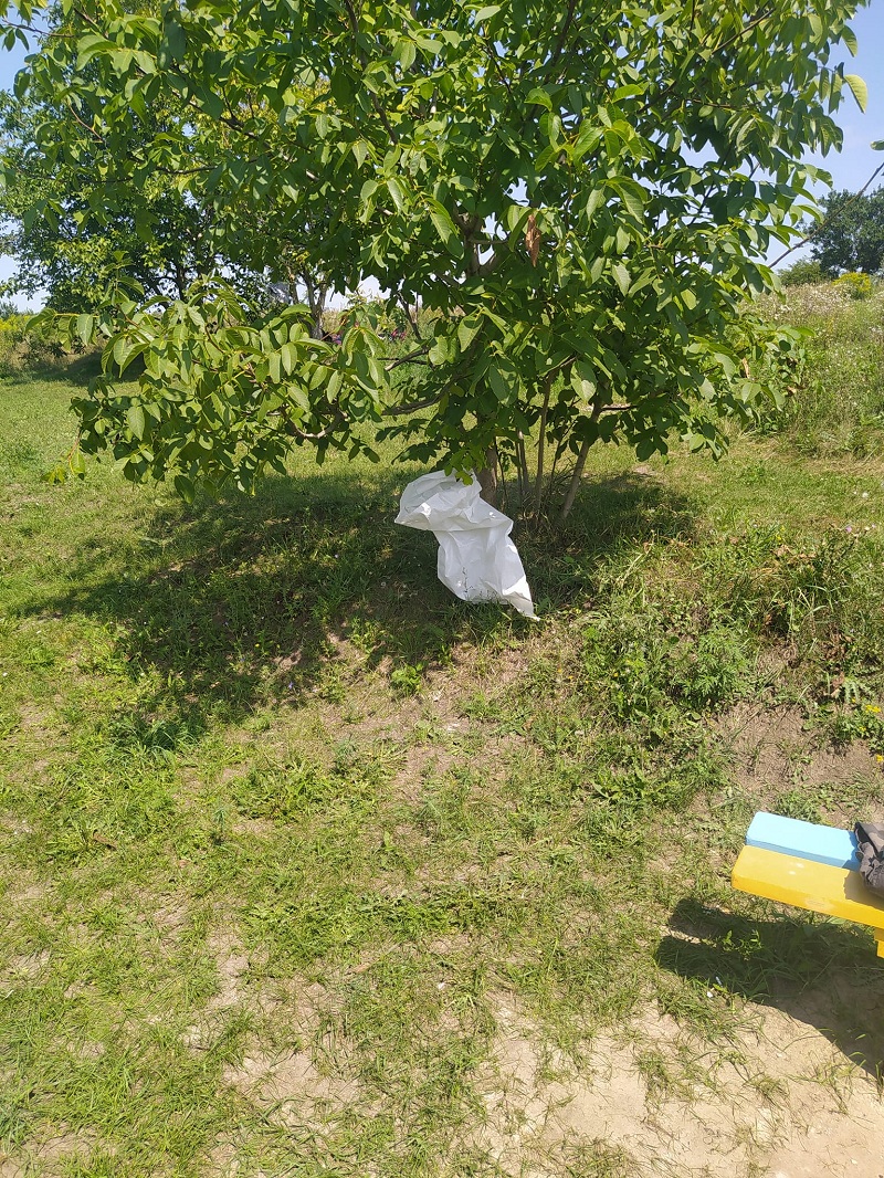 бам 2