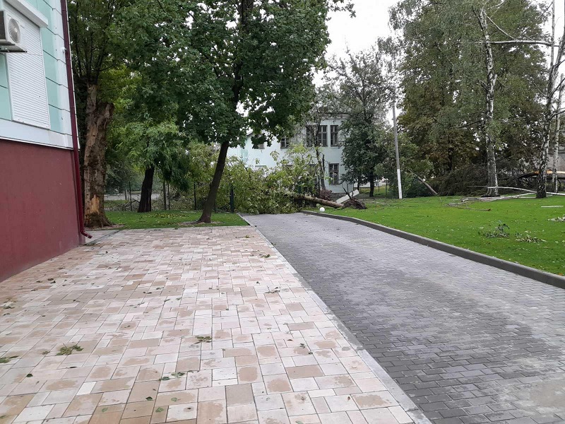стихия