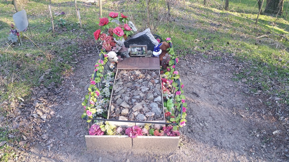 п