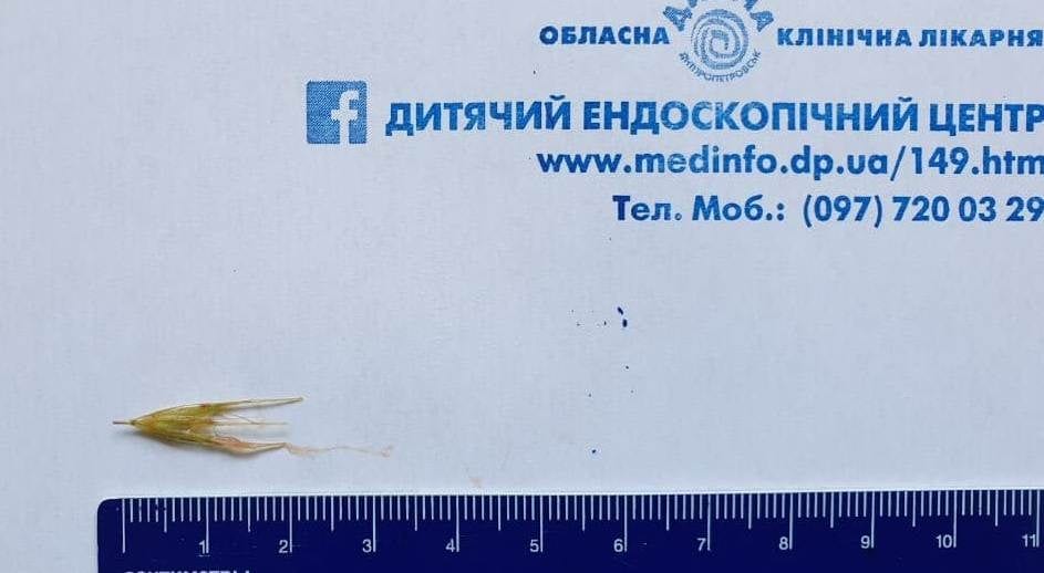 фрагмент