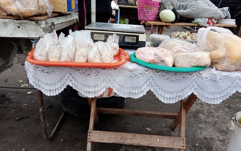 птица