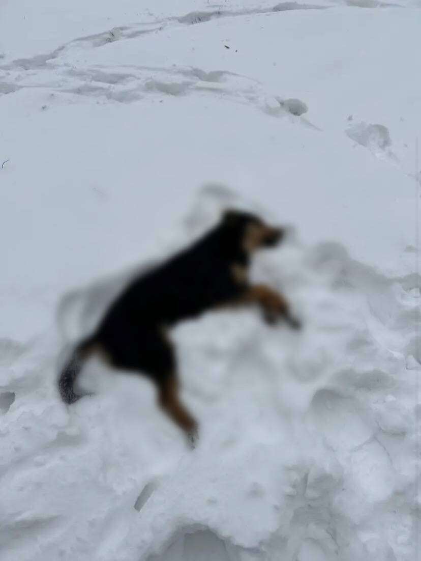 а