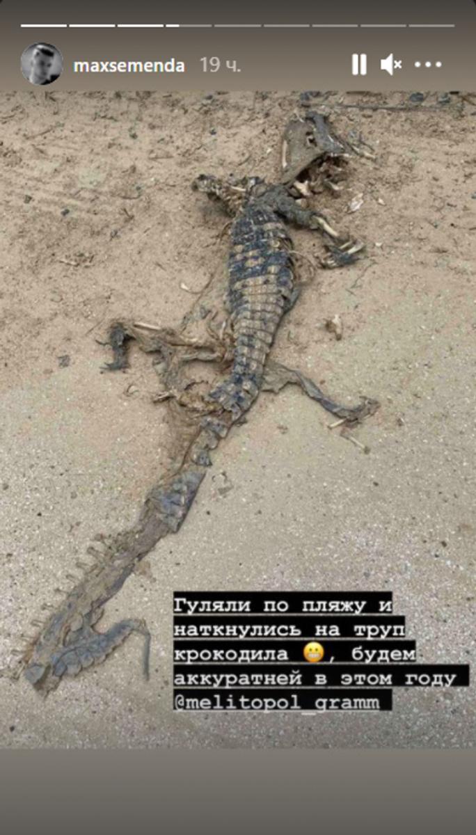скрин