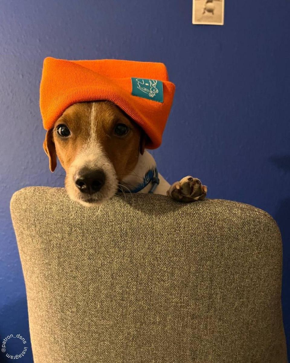 скрин