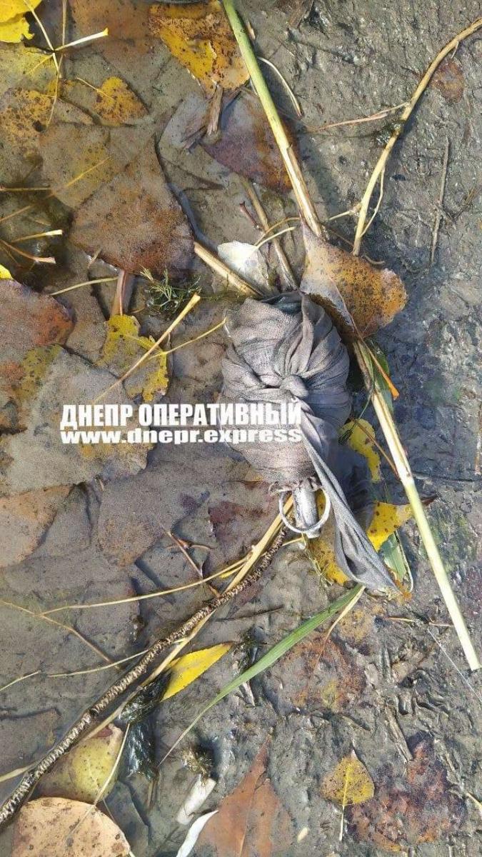 гранаты