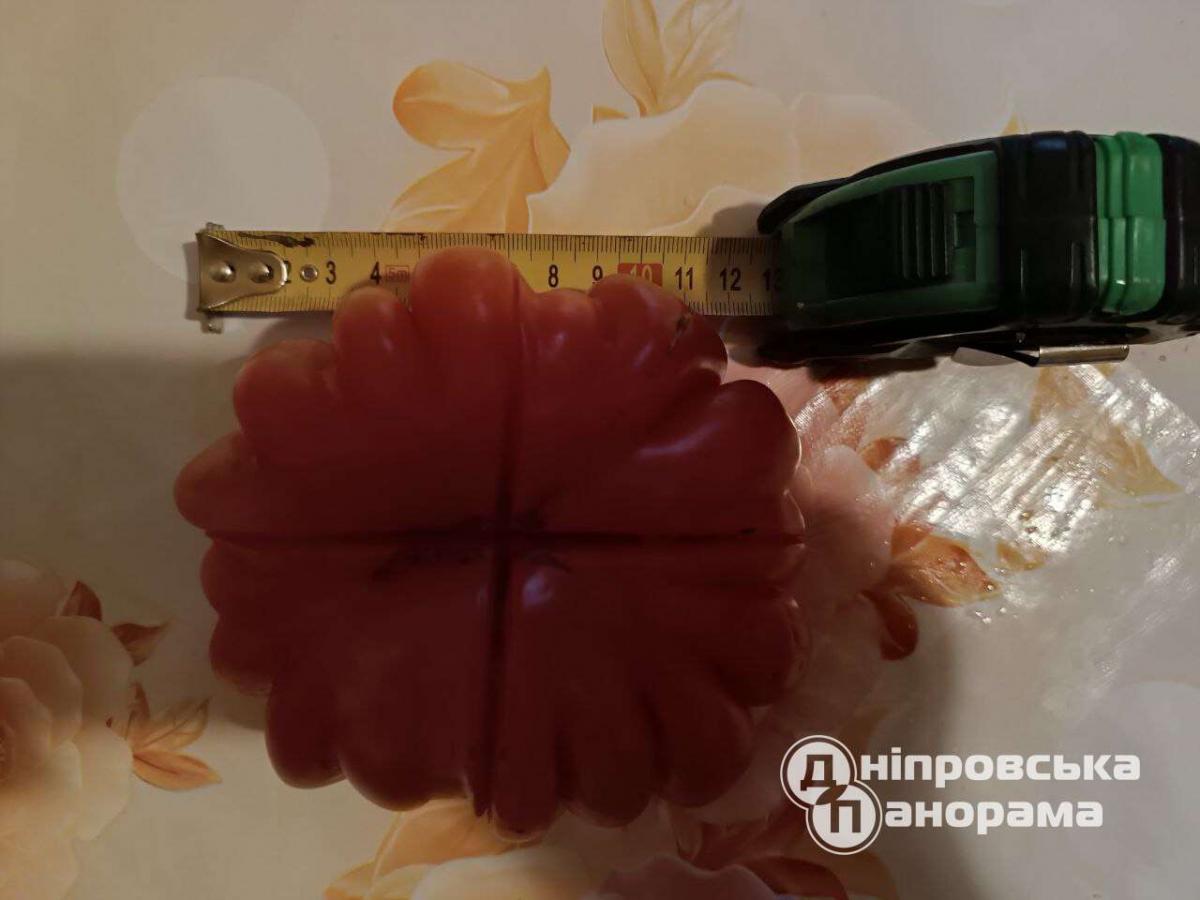 помидорки