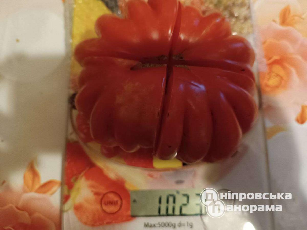 помидорки