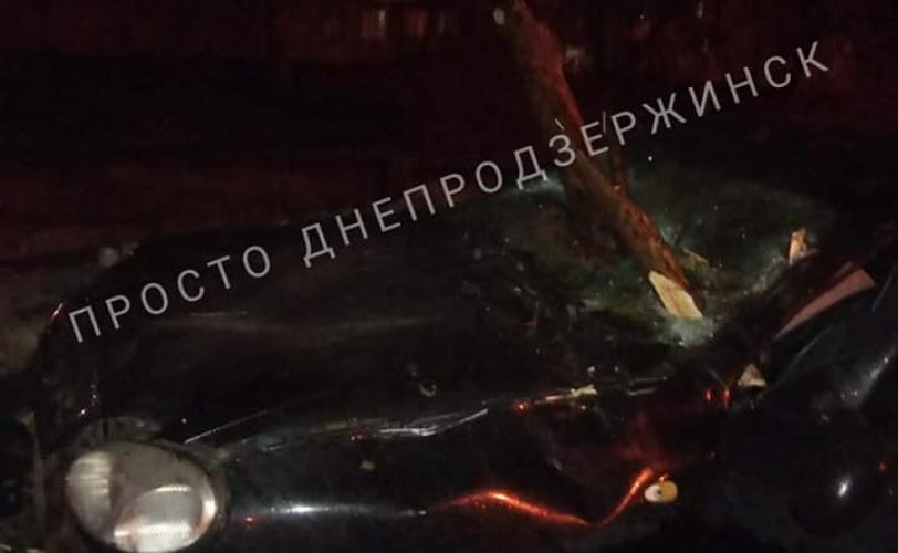 такси дерево