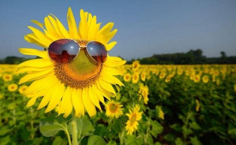 лето