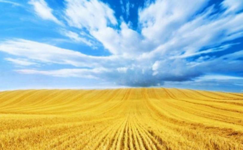Украина