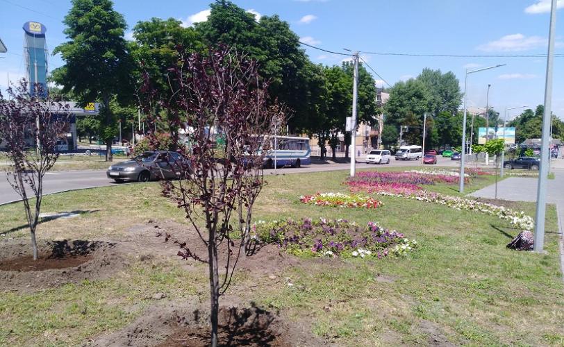 зона