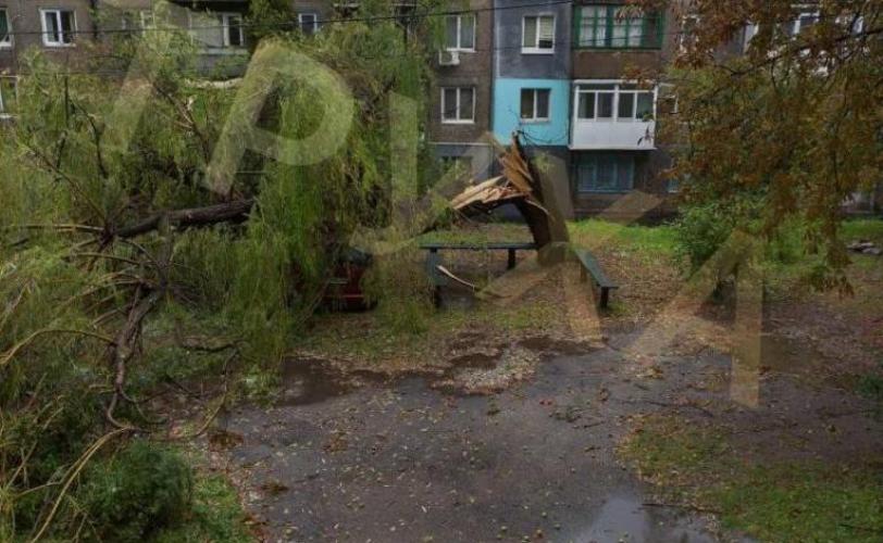 негода