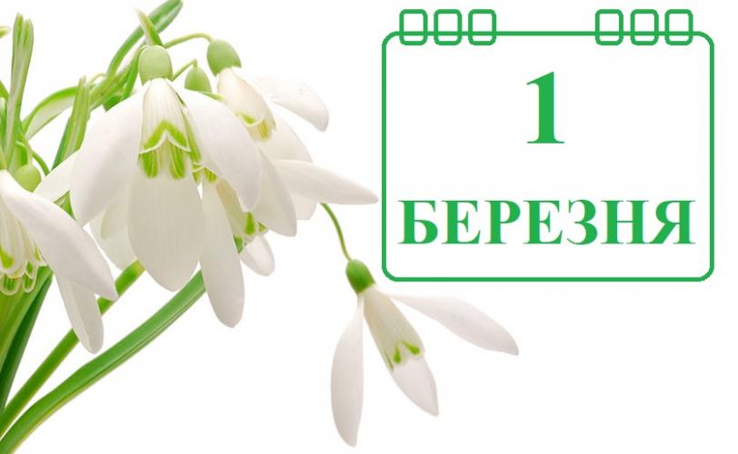 м