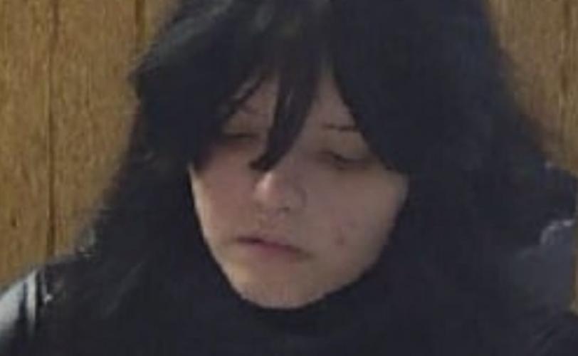 розшук