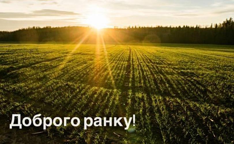 мер