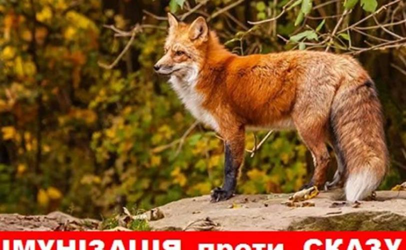 сказ