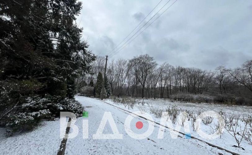 погода