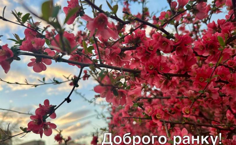 мер