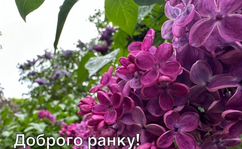 ситуація в місті