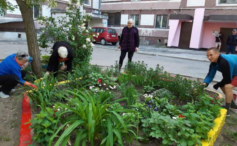 Органи самоорганізації населення
