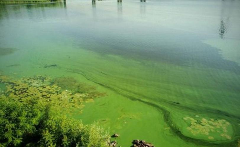 вода
