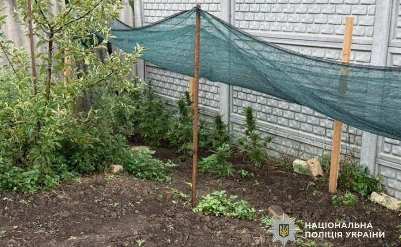 наркотики
