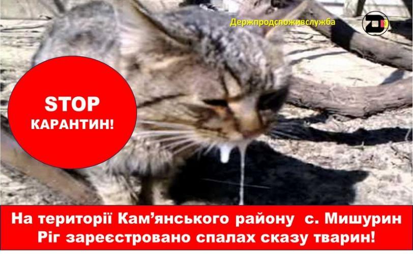 сказ
