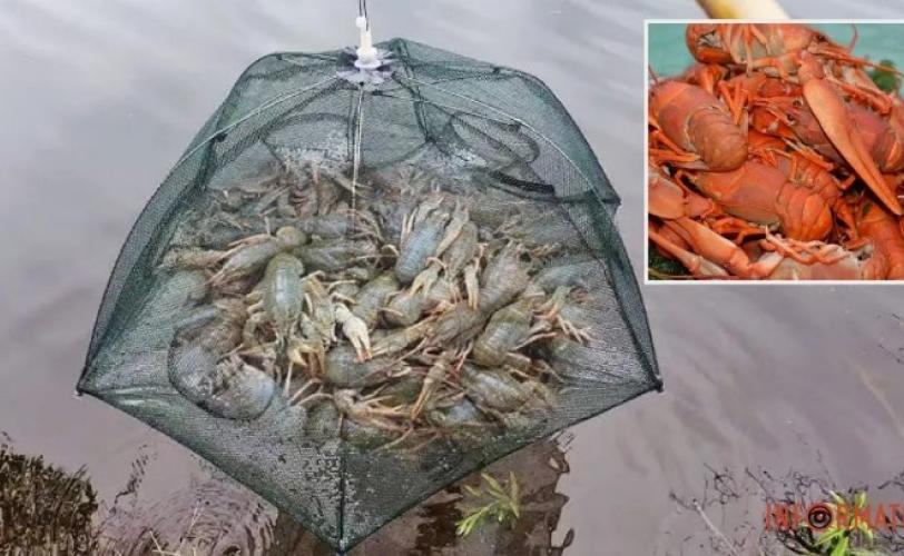раки