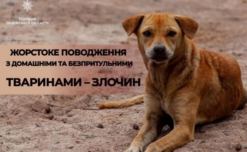 собака