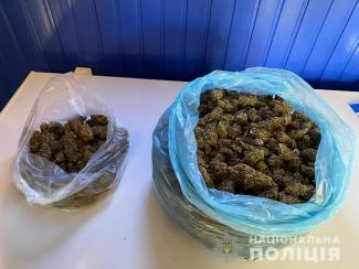марихуана