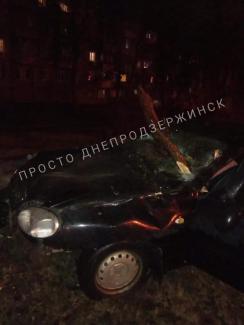 такси дерево