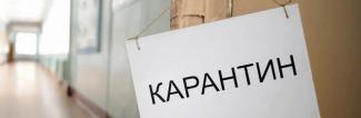 карантин