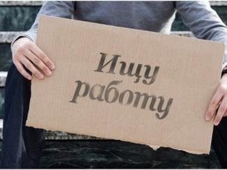 ищу работу