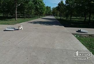 урны