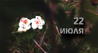 22 июля
