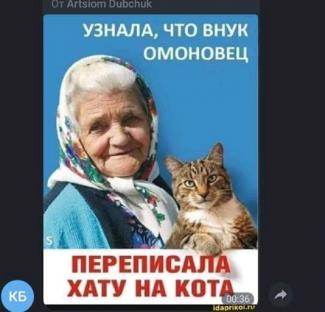 баба и кот