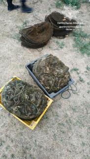 раки