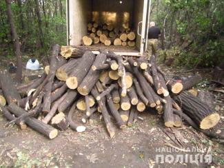 лес