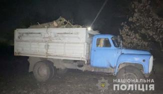 лес