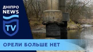 Орель