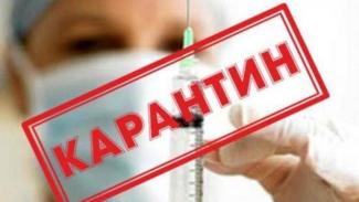 карантин