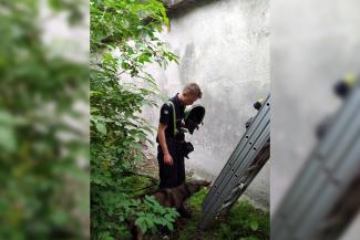 спасатели