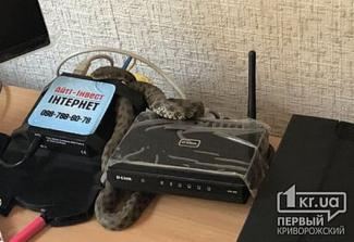 змея