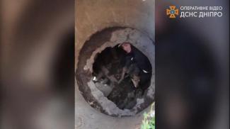спасатели