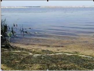 водохранилище