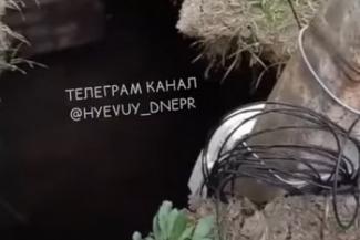 яма
