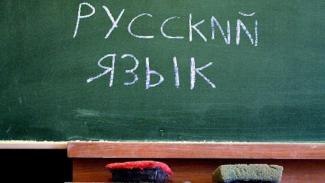 язык