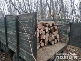 лес