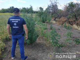 полиция