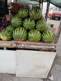 арбуз